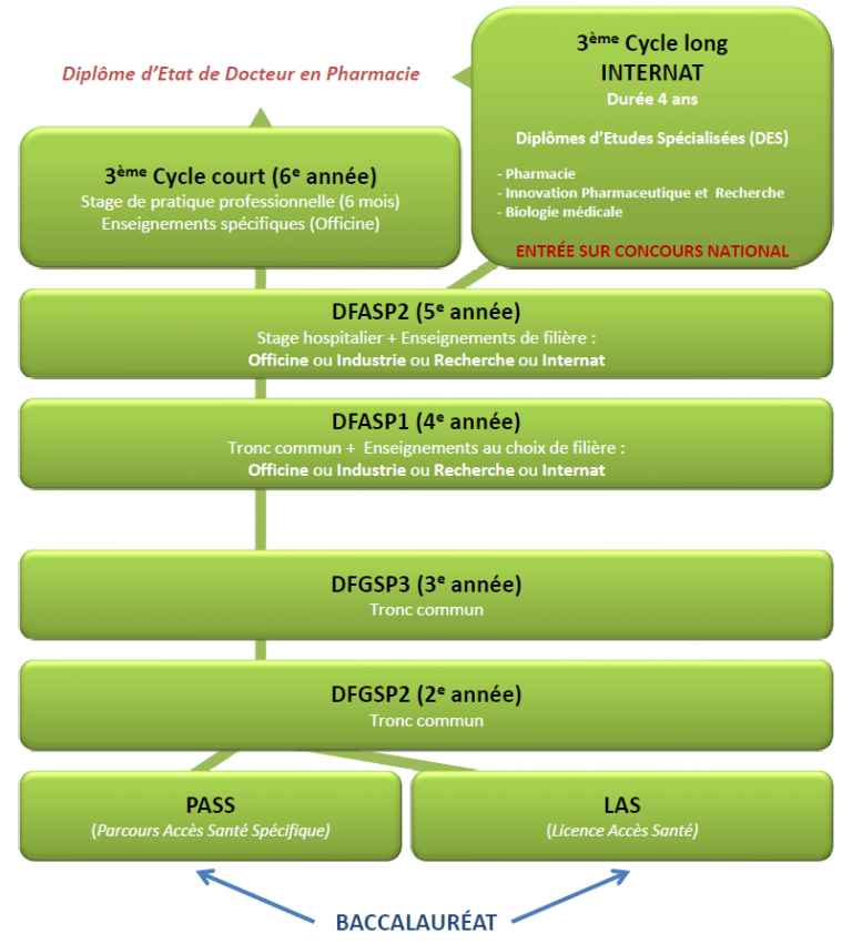 Le Diplôme d’Etat de Docteur en Pharmacie UFR des sciences — free download